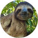 Stefanie Kaina profile picture